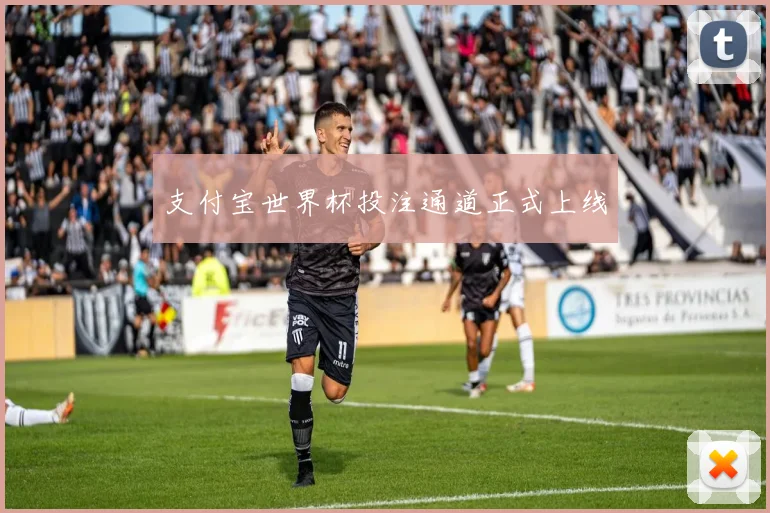 支付宝世界杯投注通道正式上线