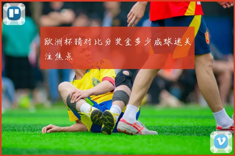 欧洲杯猜对比分奖金多少成球迷关注焦点