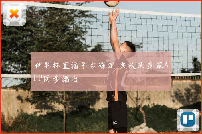 世界杯直播平台确定 央视及多家APP同步播出